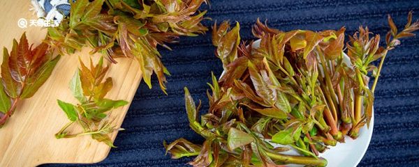 香椿的保存方法 香椿的保存方法是什么