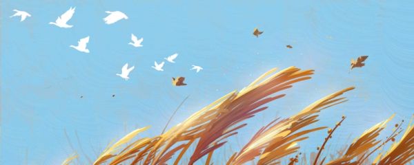 立秋三不吃指什么 今年立秋是什么时候