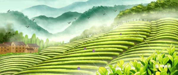 北方谷雨种什么 谷雨前后适合种什么