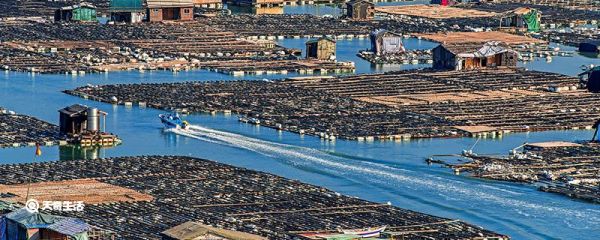 海上天湖佛国仙都是指福建省的哪个地方 福建省素有海上天湖之称的是哪个城市