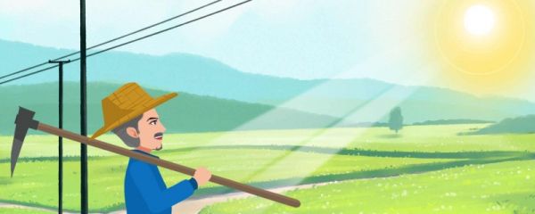 三伏天怎么晒背 三伏天为什么晒背