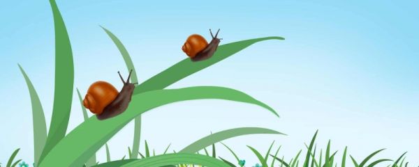 2023清明是什么生肖 2023年清明适合下葬吗