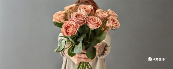 母亲节送妈妈什么花 母亲节适合送妈妈的花