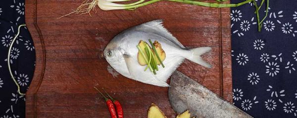 死鱼能吃吗 死鱼能不能吃