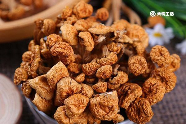 滑子菇的功效与作用 滑子菇的功效与作用是什么