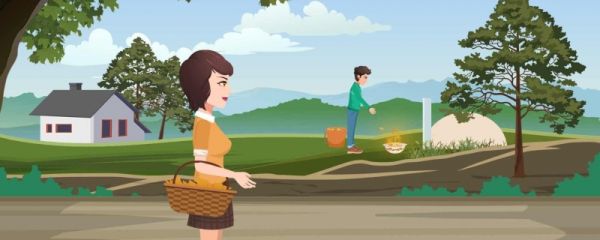 清明菜开花了能吃吗 有什么功效