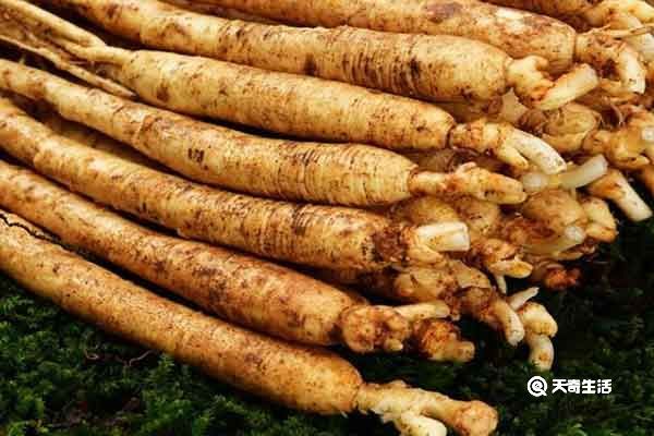 草参的功效与作用  草参的适宜人群