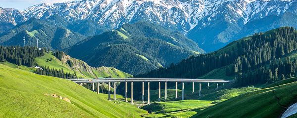 新是哪里的简称 新指的是哪里的简称