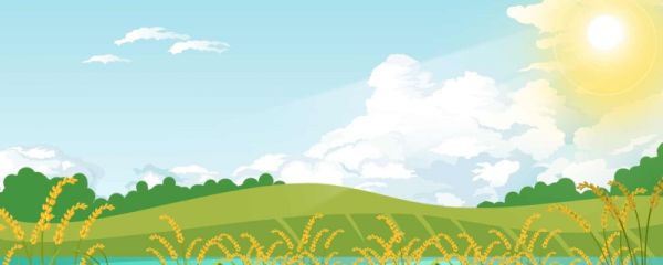 三伏天每年从什么时候开始 三伏天的避暑常识