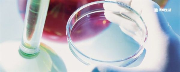 培养皿规格 常用培养皿规格