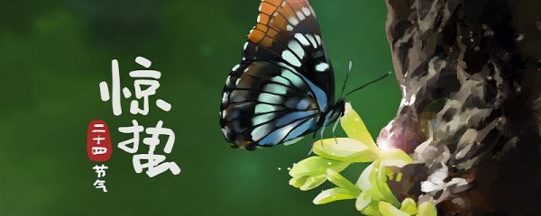 惊蛰是几月几日 惊蛰是几月几号农历