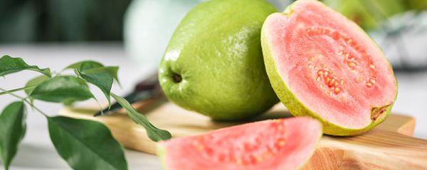 芭乐的功效与作用 芭乐的功效与作用是什么