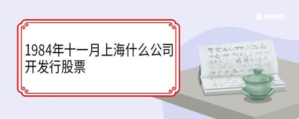 1984年十一月上海什么公司开发行股票 有哪些意义
