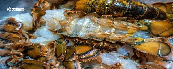 龙虾尾怎么保存 如何保存龙虾尾