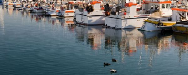 世界上最靠北的首都 雷克雅未克的地理位置