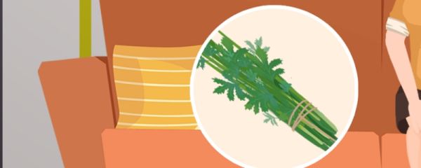 端午节一般门上插几个艾草 端午节挂艾草的挂法