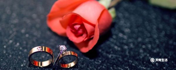 香槟玫瑰的花语 香槟玫瑰的花语是什么