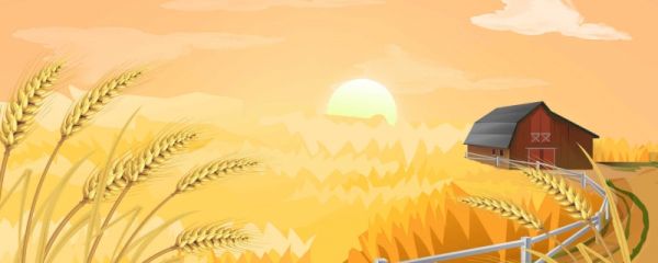 立秋啃秋什么意思 立秋啃秋的来源