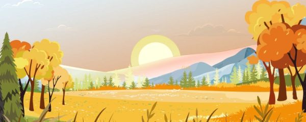 秋分时节农民做什么 秋分种什么菜