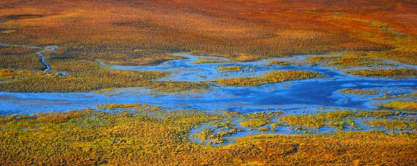 泽的意思和含义 泽的意思和含义是什么