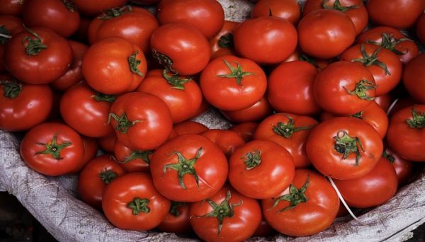 西红柿榨汁的功效与作用 西红柿榨汁的功效与作用是什么