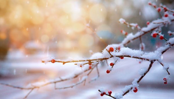 九寨沟是中国的哪里 九寨沟位于什么地方