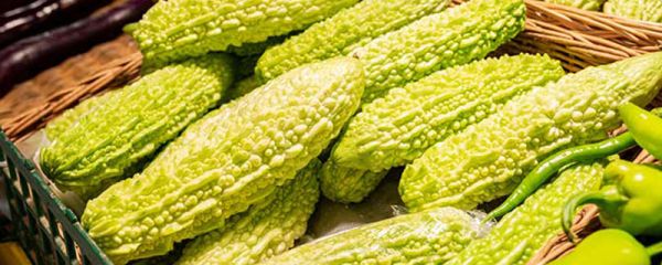 苦瓜片和苦瓜粉有什么不同 苦瓜片和苦瓜粉的区别