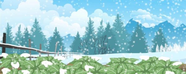 霜降吃什么风俗食物 霜降的传统习俗