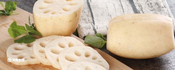 藕是莲的什么部位 我们吃的藕是莲的什么部位