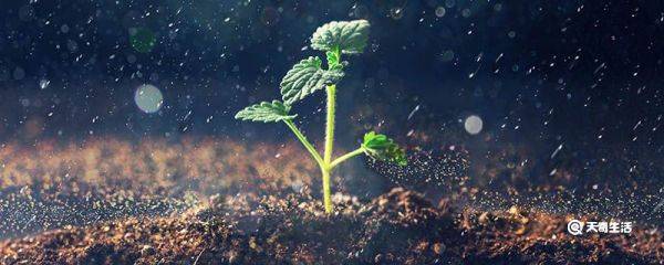 下雨预警什么颜色严重 下雨预警哪个颜色严重