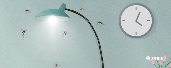 蚊子很多怎么处理 蚊子很多怎么处理方法