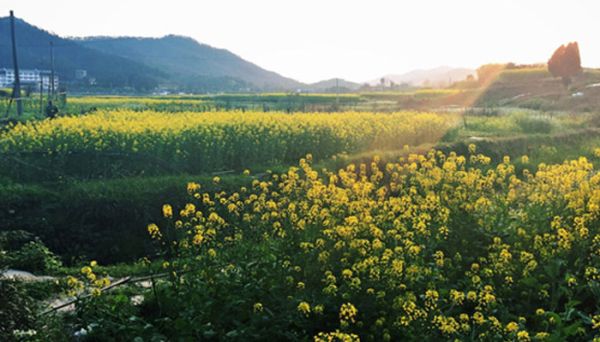 徽州在古时的别称 徽州在古时候叫什么