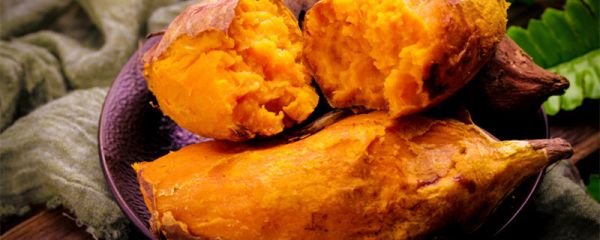 红薯保存温度是多少度 红薯的保存温度是多少度