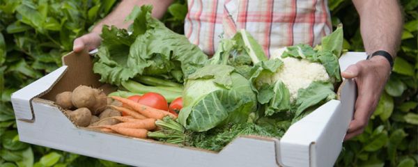 盒马配送范围几公里  盒马配送距离 盒马配送时间