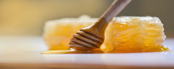 蜂胶是什么东西 蜂胶是什么东西做成的