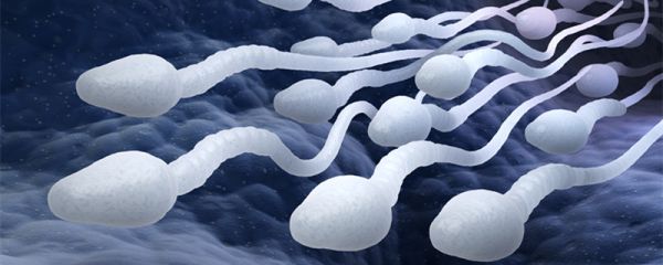 碱性乳白体是什么 碱性乳白体是什么意思