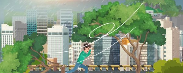 海葵台风对宁波的影响 台风海葵生成时间