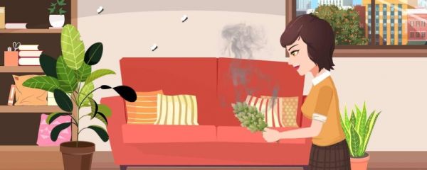 为什么端午节要买艾草 端午节插艾草的讲究