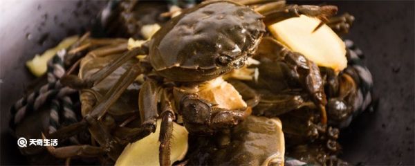 为什么螃蟹会吐泡泡 为什么螃蟹吐泡泡