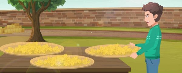 立秋晒秋是什么意思 晒秋指晒什么