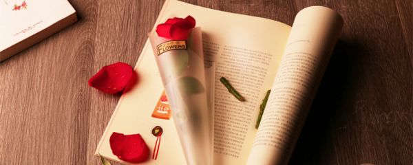 520送花贺卡祝福语 送花的贺卡祝福语简短