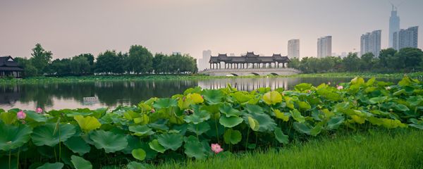 白洋淀是河北哪个市 白洋淀位于河北哪个市