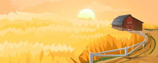 立秋晒秋都晒哪些东西 什么是晒秋