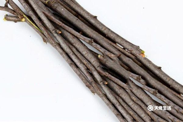 桃树枝的功效与作用 桃树枝有什么功效