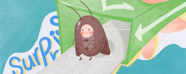 蟑螂被打死后需要做哪些处理  打死的蟑螂怎么处置