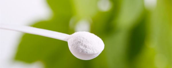 小苏打是什么东西 是食用碱吗