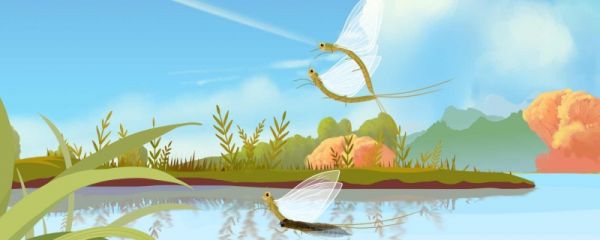 小暑和大暑的区别是什么 小暑节气有什么象征