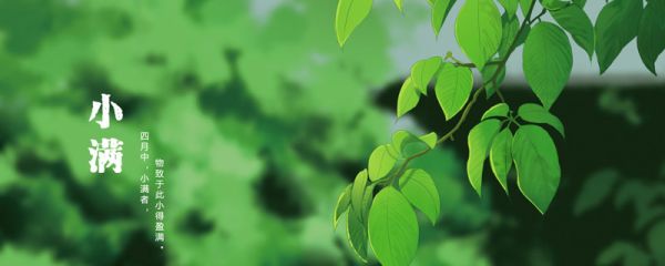 小满的寓意 小满的寓意是什么