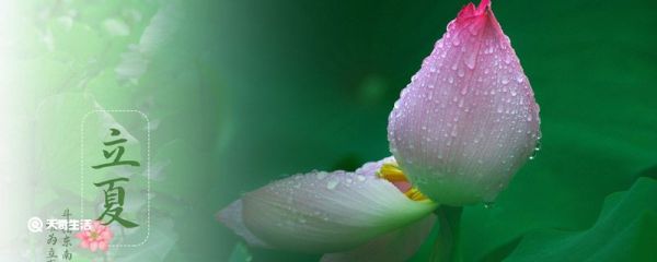 立夏节气祝福语 立夏的祝福语简单