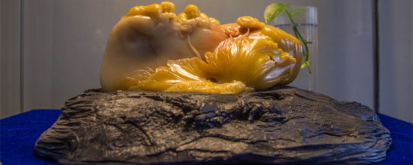 寿山石产地 寿山石产地在哪里